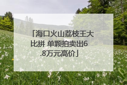 海口火山荔枝王大比拼 单颗拍卖出6.8万元高价