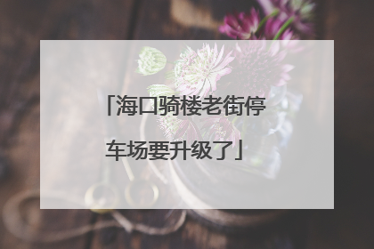 海口骑楼老街停车场要升级了