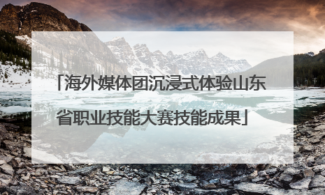 海外媒体团沉浸式体验山东省职业技能大赛技能成果