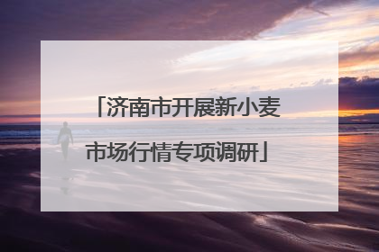 济南市开展新小麦市场行情专项调研