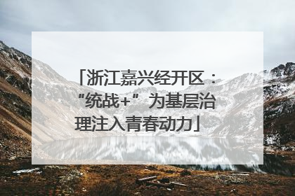 浙江嘉兴经开区：“统战+”为基层治理注入青春动力