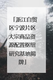 浙江自贸区宁波片区大宗商品资源配置枢纽研究基地揭牌