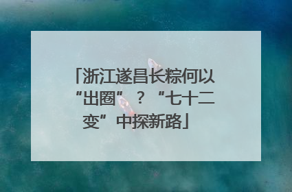 浙江遂昌长粽何以“出圈”？“七十二变”中探新路
