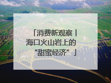 消费新观察丨海口火山岩上的“甜蜜经济”