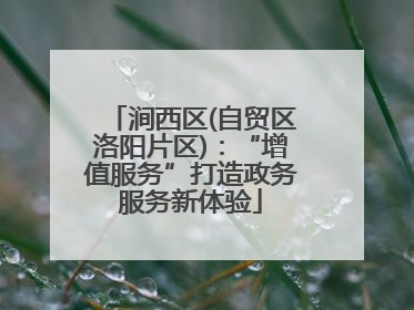 涧西区(自贸区洛阳片区)：“增值服务”打造政务服务新体验