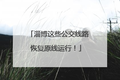 淄博这些公交线路恢复原线运行！