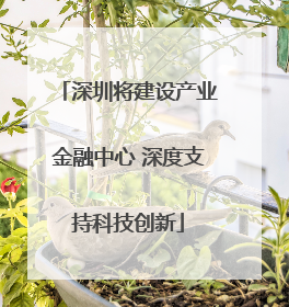 深圳将建设产业金融中心 深度支持科技创新