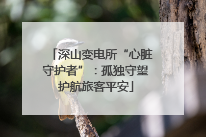 深山变电所“心脏守护者”：孤独守望护航旅客平安