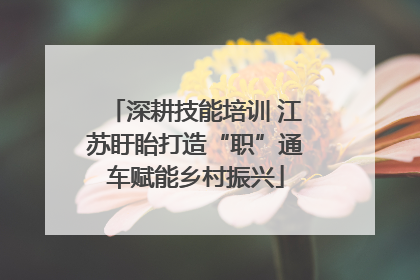 深耕技能培训 江苏盱眙打造“职”通车赋能乡村振兴