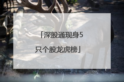 深股通现身5只个股龙虎榜