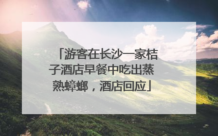 游客在长沙一家桔子酒店早餐中吃出蒸熟蟑螂，酒店回应