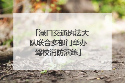 渌口交通执法大队联合多部门举办驾校消防演练