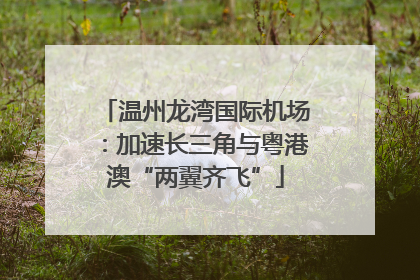 温州龙湾国际机场：加速长三角与粤港澳“两翼齐飞”