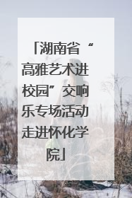 湖南省“高雅艺术进校园”交响乐专场活动走进怀化学院