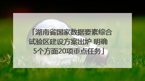 湖南省国家数据要素综合试验区建设方案出炉 明确5个方面20项重点任务