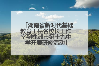 湖南省新时代基础教育王岳名校长工作室到株洲市第十九中学开展研修活动