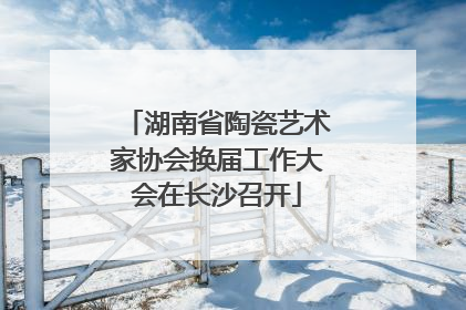 湖南省陶瓷艺术家协会换届工作大会在长沙召开