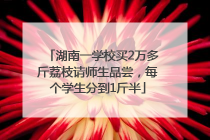湖南一学校买2万多斤荔枝请师生品尝，每个学生分到1斤半