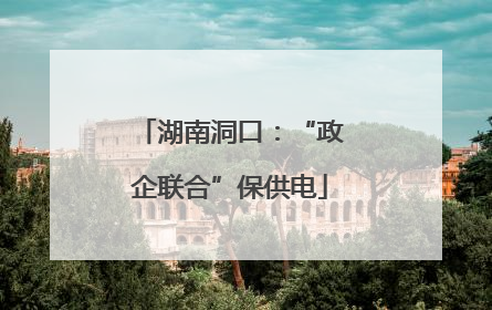湖南洞口：“政企联合”保供电