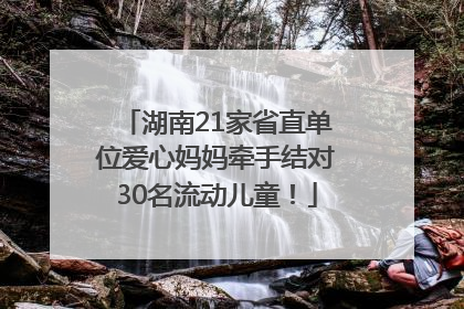 湖南21家省直单位爱心妈妈牵手结对30名流动儿童！