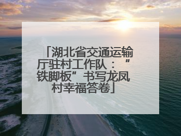 湖北省交通运输厅驻村工作队：“铁脚板”书写龙凤村幸福答卷
