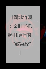 湖北竹溪：金叶子托起田埂上的“致富经”