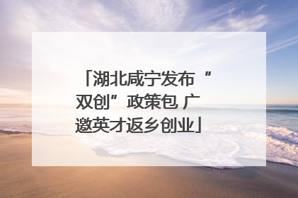 湖北咸宁发布“双创”政策包 广邀英才返乡创业