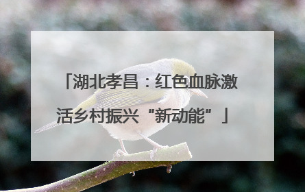 湖北孝昌：红色血脉激活乡村振兴“新动能”