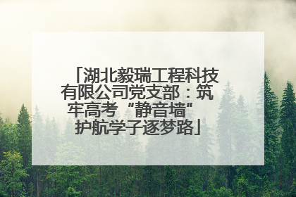 湖北毅瑞工程科技有限公司党支部：筑牢高考“静音墙” 护航学子逐梦路