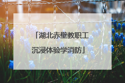 湖北赤壁教职工沉浸体验学消防