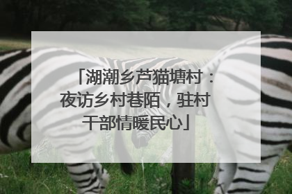 湖潮乡芦猫塘村：夜访乡村巷陌，驻村干部情暖民心