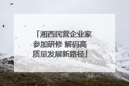 湘西民营企业家参加研修 解码高质量发展新路径