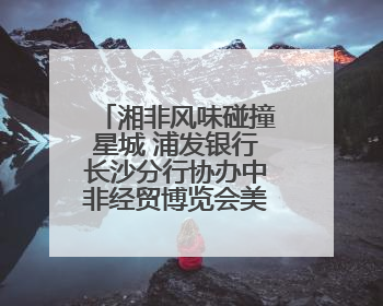 湘非风味碰撞星城 浦发银行长沙分行协办中非经贸博览会美食节