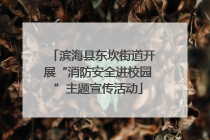 滨海县东坎街道开展“消防安全进校园”主题宣传活动