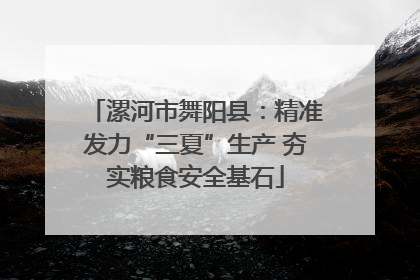 漯河市舞阳县：精准发力“三夏”生产 夯实粮食安全基石