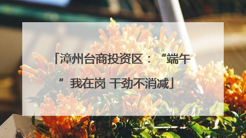 漳州台商投资区：“端午”我在岗 干劲不消减