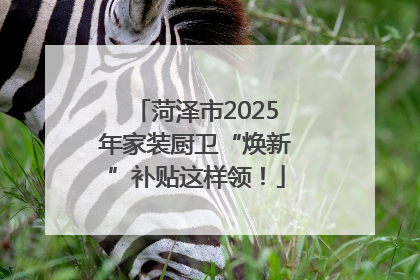菏泽市2025年家装厨卫“焕新”补贴这样领！