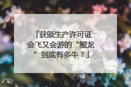 获颁生产许可证 会飞又会游的“鲲龙”到底有多牛？