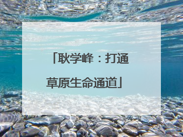 耿学峰：打通草原生命通道