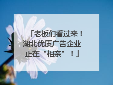 老板们看过来！湖北优质广告企业正在“相亲”！