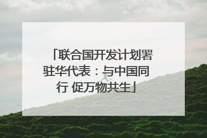 联合国开发计划署驻华代表：与中国同行 促万物共生