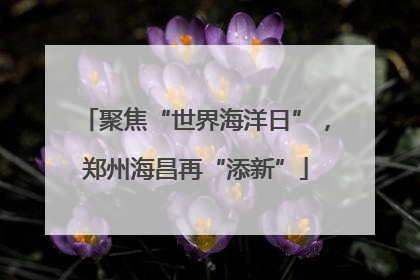 聚焦“世界海洋日”，郑州海昌再“添新”