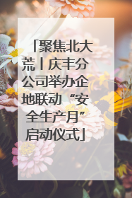 聚焦北大荒丨庆丰分公司举办企地联动“安全生产月”启动仪式