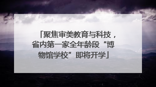 聚焦审美教育与科技，省内第一家全年龄段“博物馆学校”即将开学