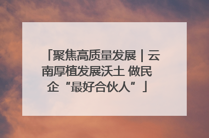 聚焦高质量发展｜云南厚植发展沃土 做民企“最好合伙人”