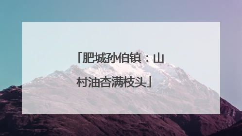 肥城孙伯镇：山村油杏满枝头