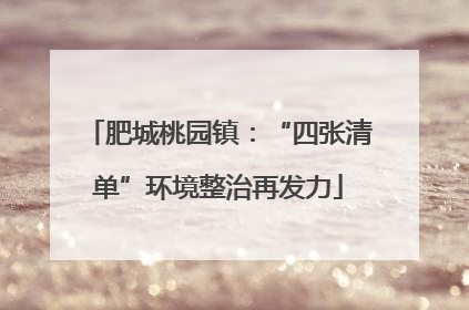 肥城桃园镇：“四张清单”环境整治再发力