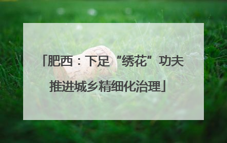 肥西：下足“绣花”功夫 推进城乡精细化治理