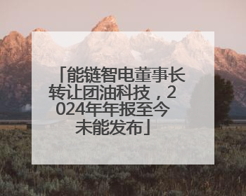 能链智电董事长转让团油科技，2024年年报至今未能发布