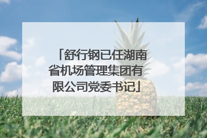 舒行钢已任湖南省机场管理集团有限公司党委书记